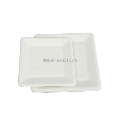 China Compostable Biodegradable Within 90 Days Biodegradable Unbleached Sugar Cane Bagasse Pulp Molded Food Tray for sale