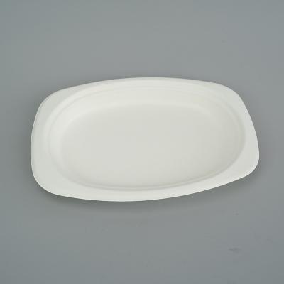 China Compostable Biodegradable Within 90 Days Cheap Oval Paper Dish Eco-Friendly Bagasse Cake Party Biodegradable Disposable Dish for sale