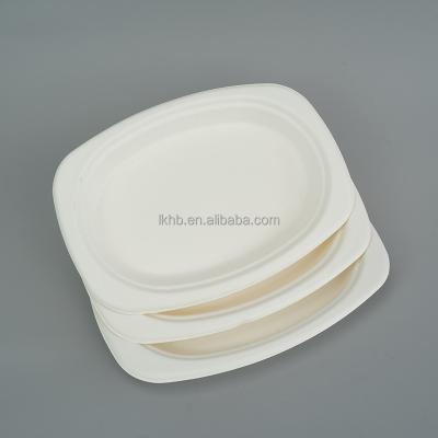 China Compostable Biodegradable Within 90 Day Manufacturers Supply Safe Non-Toxic Recyclable Degradable Disposable Oval Dinner Dish for sale