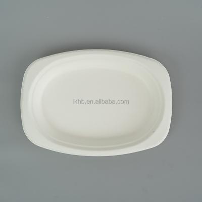 China Compostable Biodegradable Within 90 Days Compostdable Oval Biodegradable Disposable Dinnerware Cheap Dish 100% Oval Dish for sale