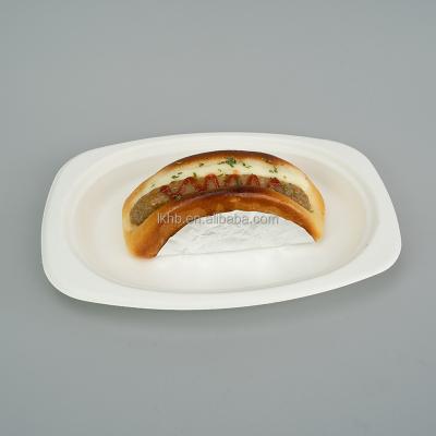 China Compostable Biodegradable Within 90 Day 100 Oval Dish Of Biodegradable Compostable Bagasse E Cake Sushi for sale