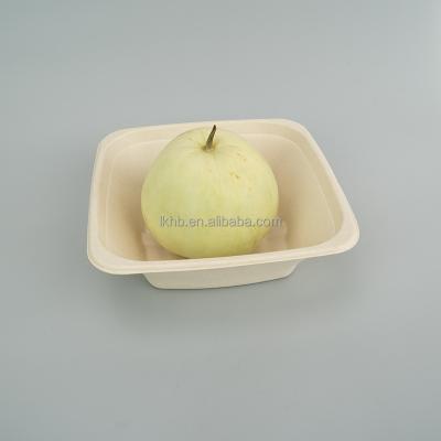 China Compostable Biodegradable Within 90 Day Compost Plant Food Container Bagasse Paper Disposable Square Salad Bowl for sale