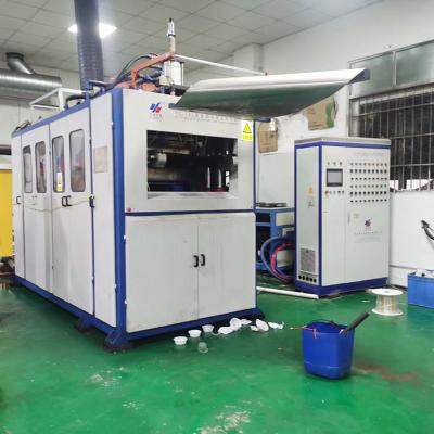 Chine Coupe en plastique jetable utilisée fabriquée à partir d'une machine de thermoformage en plastique de qualité alimentaire de haute qualité à vendre