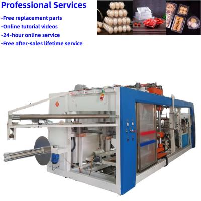 China Used vacuum forming machine for egg tray high degree of automation and high production efficiency plastic thermoforming machine for sale