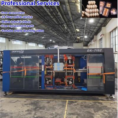 China Used Industrial Plastic Egg Tray Making Machine High Degree Automation Plastic Thermoforming Machine for sale