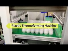 Fully automatic PP Fruit Box Thermoforming Machine 