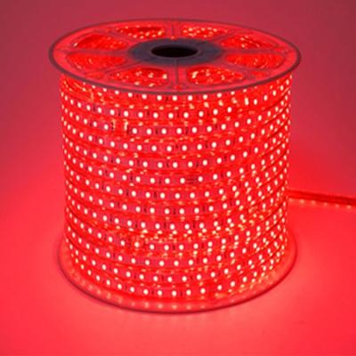 China Hotel RGB LED Strip 110V-220V Waterproof 5050 SMD Lights Rope With AC Adapter for sale