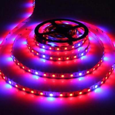 China Hot sale 5:1 4:1 smd 5050 full spectrum DC12V aluminum red blue strip led grow strip lighting for greenhouse plant hydroponic growing for sale