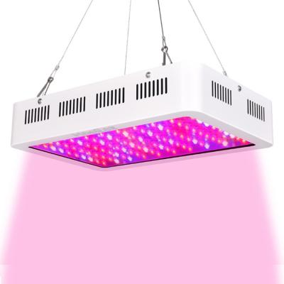 China Hot Sale Iron Led Lights 1000w 1200w 1500w 2000w 600w Led Grow Light For Indoor Garden Greenhouse for sale