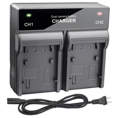 China Dual Camera Battery Charger Digital Smart Fast Charging AC Tether Micro USB Camera Battery Charger For Nikon EN-EL14 EL15 EL3E EL19 EL20 for sale