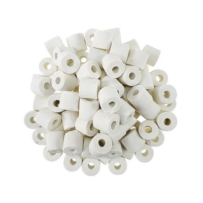 China Hot Sustainable Aquarium Ceramic Filter Pond Aquarium Rings Accessories 500g Ceramic Rings Filtration Media for sale