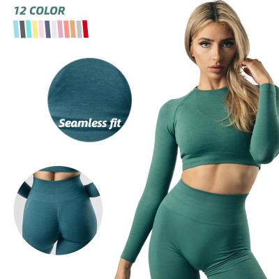 China QUICK DRY Multicolor Women High Waist Fitness Workout Set Seamless Long Sleeve Scrunch Butt Sports Gym Yoga Set for sale