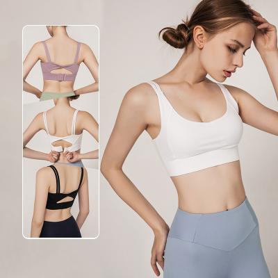 China Breathable 2023 New Arrival Nylon Spandex Solid Color Yoga Tops High Impact Moisture Wicking Padded Beauty Back Adjustable Women Sports Bra for sale