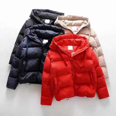 China Fashion Simple Fashion Solid Color Coat Cotton Jacket Hooded QUICK DRY Cotton Zipper Casual Coat Women's Jacket for sale