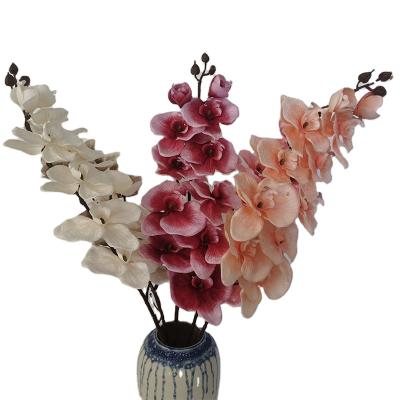 China Realistic PE Artificial Flower Phalaenopsis 9 Touch Phalaenopsis 9 For Living Room Decoration for sale