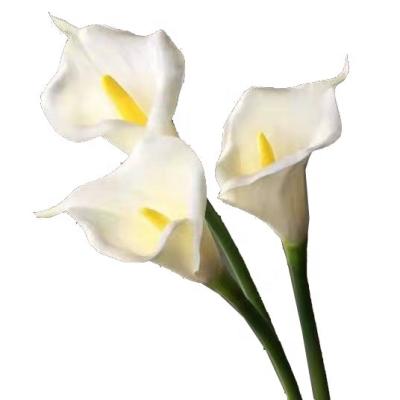 China PU wholesales artificial plastic calla lily flowers simulation real touch calla lily high decorative wedding favor for sale