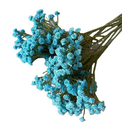 China Minimalist China Factory Price Artificial Flowers Baby's Breath Artificial Flowers Dried for sale