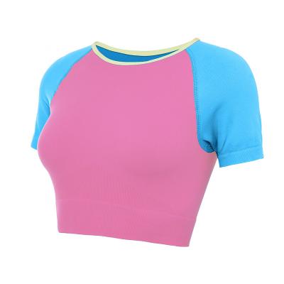 China Seamless yoga tops sports women fitness amp breathable wear yoga clothes gym shirts quantity women tops ladies fashionable tpos for sale