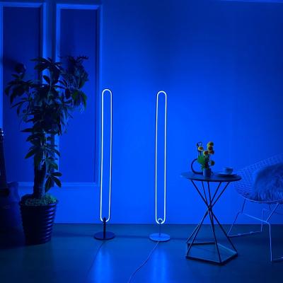 China Zhongshan Factory Modern Color Changing Remote Control Dimmable Led Floor Light Oval Stand RGB Vertical Floor Lamp for sale