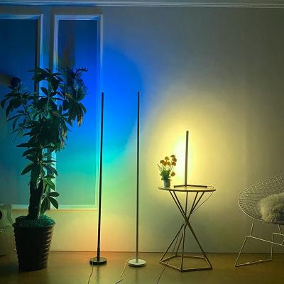 China Rempote Modern Dimmable App Amazon Bedroom Home Decor Led RGB Color Changing Corner Floor Leak for sale