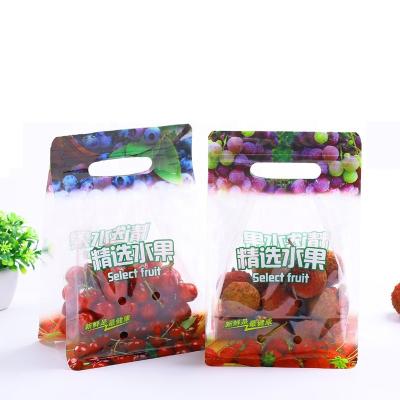 China Plastic Moisture Proof Zip Lock Fresh Vegetable Fruit Protection Packaging Bags With Air Hole for sale