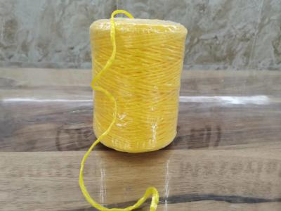 China Tanzania Hotsale 2mm Pp Baler Twine 250g 500g 1000g 2000g Yellow Color for sale