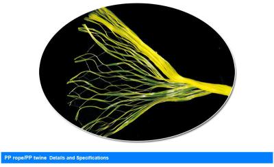 China Agriculture Use 4KG PP Banana Twine With High Tenacity UV Additive for sale