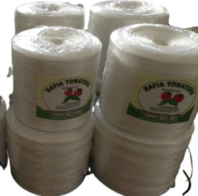 China UV Stabilization Plastic Baling Twine , 12000 Feet Medium Sisal Baler Twine for sale