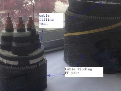 China 2.5mm Black Polypropylene Twine for sale