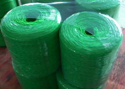 Cina alta stabilizzazione UV di 45000D 60000D pp Hay Baler Twine 4kg 5kg in vendita