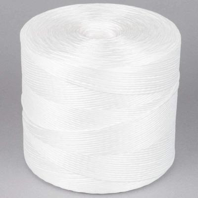 Chine le raphia en plastique du polypropylène 5kgs/spool a tordu la ficelle pour la serre chaude à vendre