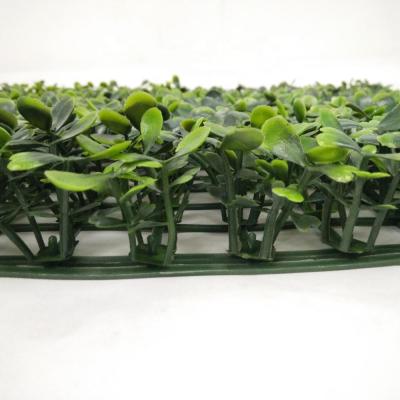 China High Simulation Garden Decoration Artificial Boxwood Hedge Plastic Boxwood Hedge for sale