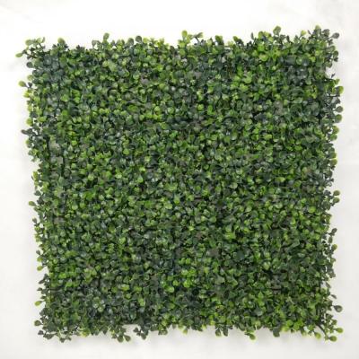 China Anti-UV Many Artificial Boxwood Hedge Trimming Plastic Boxwood Roll Artificial Boxwood Roll for sale