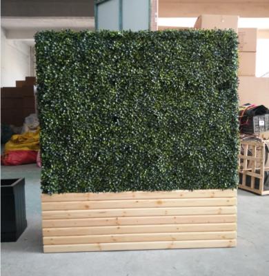 China Eco-Friendly Anti-UV Plastic Boxwood Fence Greenery UVproof Artificial Hedge Panels Eco-Friendly For Garden Decoration for sale