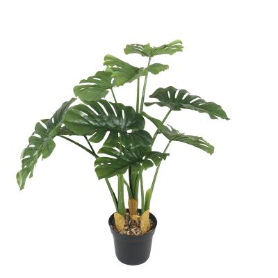 China New Porcelain Art Decor Factory Fake Supplier Plants Potted Monstera Greenery Leaves Bonsai monstera deliciosa factory for sale