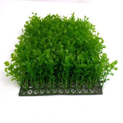 China High Quality Artificial Boxwood Spike Grass 25cm*25cm With Best Price for sale