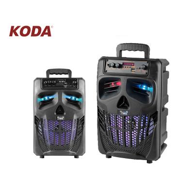 China Portable Large Phone Function Karaoke Party Bass Speaker Radio Sound Sound Systems for sale