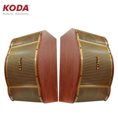 China Telephone Function Stage Sound Equipment Karaoke 10inch Pair Audio Speakers for sale