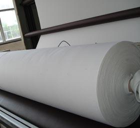 China needle punched pla nonwoven for sale