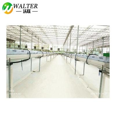 China Farmland tomato farming anti-grass ground cover landscape PE woven fabric white light reflect weedmat for sale