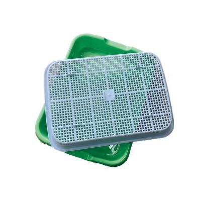 China PP Plastic Germination Tray Seeding Tray Bean Grow Tray Hydroponic Seeding Tray Sprout Tray Hydroponics Seeding System for sale