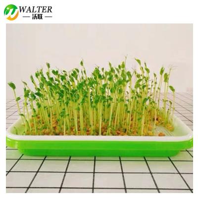 China PP Bean Sprouts Planting Nursery Seed Hydroponics Seed Sprouter Germination Sprout Dish Drain Vegetable Tray for sale