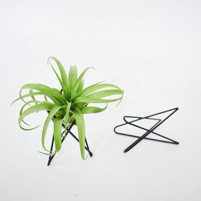 China Household Modern Rustless Iron Black Power Coated Mini Triangle Rack Air Plant Stand Metal for sale