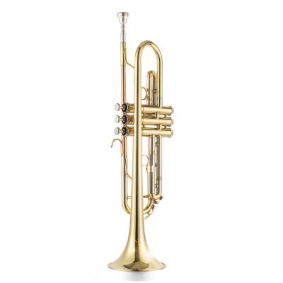 China Copper/Phosphor Gold Trumpet Bb Brass/White Copper Lacquered Brass/White Copper/Phosphor Copper High Quality Trumpet for sale