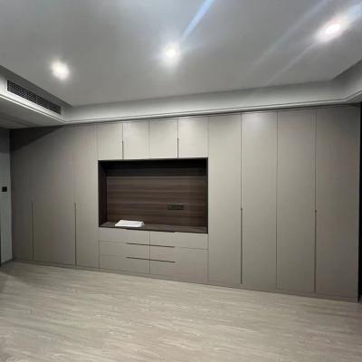 China Modern Modern Interior Home Furniture Powder Coating MDF Walk In Closet Door For Bedroom for sale