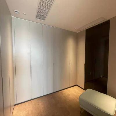 China EUROPEAN Modern Interior Home Furniture Powder Coated MDF Closet Door For Walk In Closet for sale