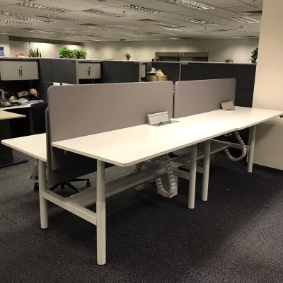 China (Height) Adjustable Executive Desk , Powder Coated MDF E0 Table Top For Customized Ergonomic Desk for sale