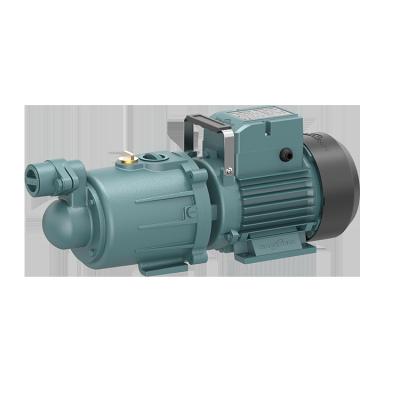 China WATER PARK GRANDFAR ZGD Series Bearing 0.75hp 1HP High Quality Outdoor Electric Self-priming Screw Pump Agricultural Water Pump for sale