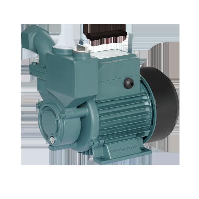 China Hot Sale 0.5hp 0.75HP 1hp Water Park GRANDFAR 1WZB Series Self Priming Peripheral Self Priming Pump Surface Water Pump for sale