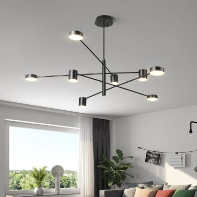 China New Residential Metal Special Pendant Light Loft Decorative Indoor Lamp For Living Room And Bedroom Creative Graphite Chandelier for sale